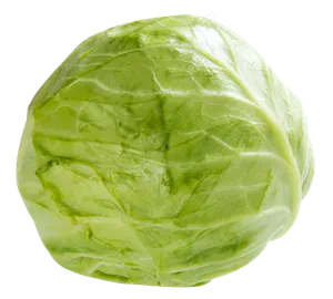 一颗圆白菜