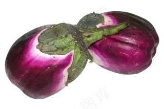 紫色蔬菜茄子