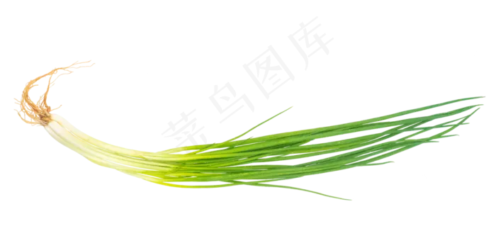 食材小葱蔬菜(3000X4000(DPI:72))