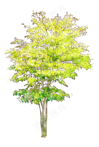 手绘水彩风环艺水彩树免扣png,免抠元素