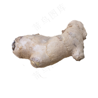 黄色生姜老姜天然无公害有机作物