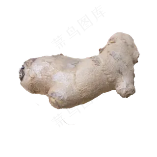 黄色生姜老姜天然无公害有机作物