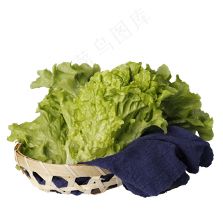 一篮绿色的生菜免抠图
