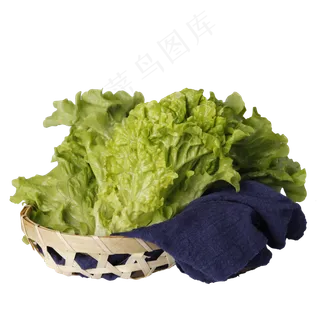 一篮绿色的生菜免抠图