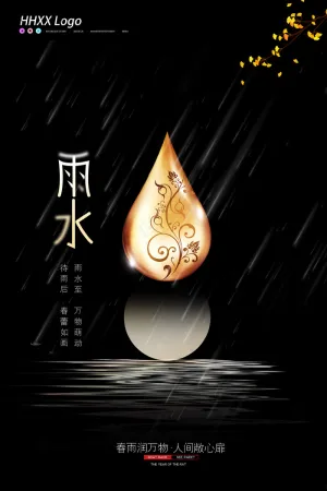 黑色简约雨水海报