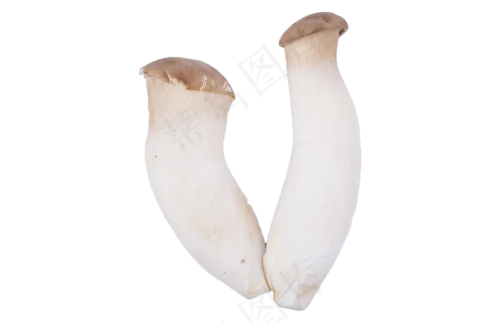 新鲜美味可口的蘑菇(2000X1333(DPI:240))psd模版下载