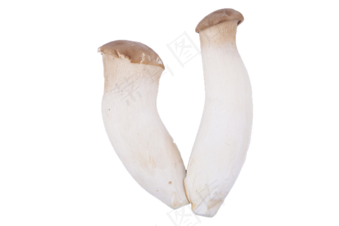 新鲜美味可口的蘑菇