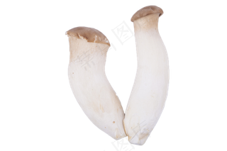 新鲜美味可口的蘑菇