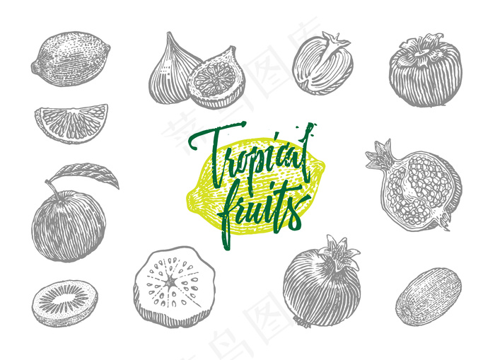 灰色孤立雕刻不同的热带水果集在一个绘画风格