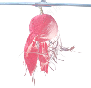 恐怖恶魔头盖骨头骨