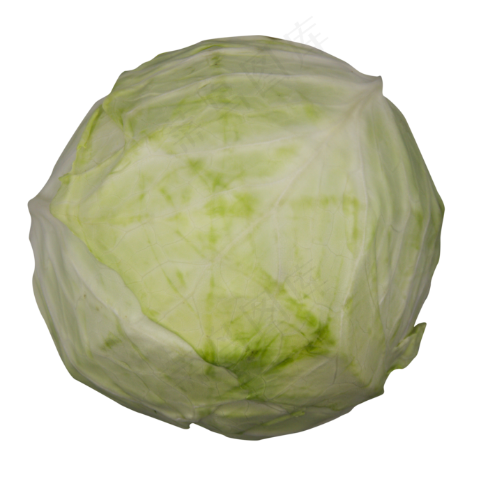 绿色蔬菜包菜(2000X2000(DPI:300))