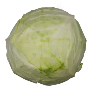 绿色蔬菜包菜 绿色蔬菜包菜