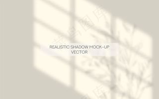 窗和树叶阴影叠加