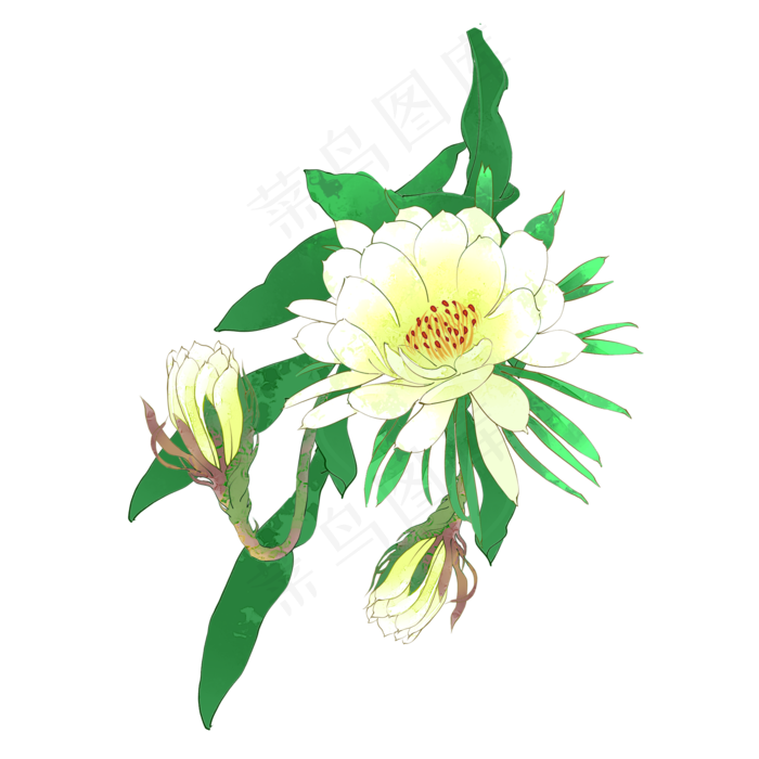 秋天昙花花枝(2000X2000(DPI:299))psd模版下载