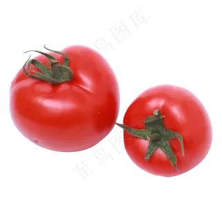 红色西红柿蔬菜实拍