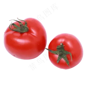 红色西红柿蔬菜实拍