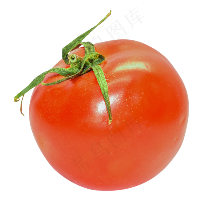 蔬菜食材西红柿