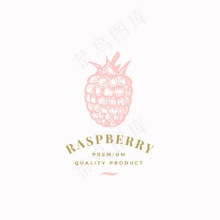树莓抽象标志、符号或标志模板。