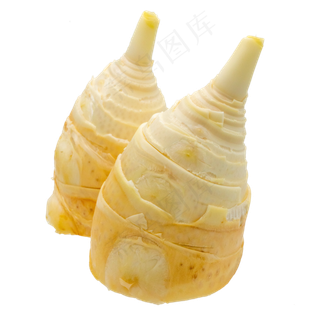 食材竹笋