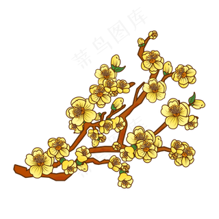 腊梅冬天手绘梅花