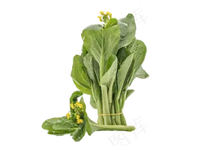 绿色新鲜蔬菜