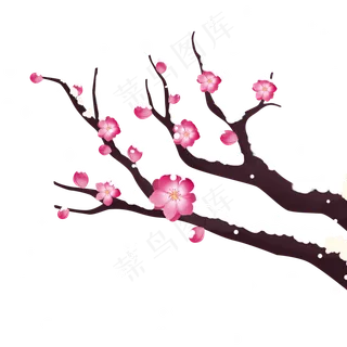 冬天植物梅花雪