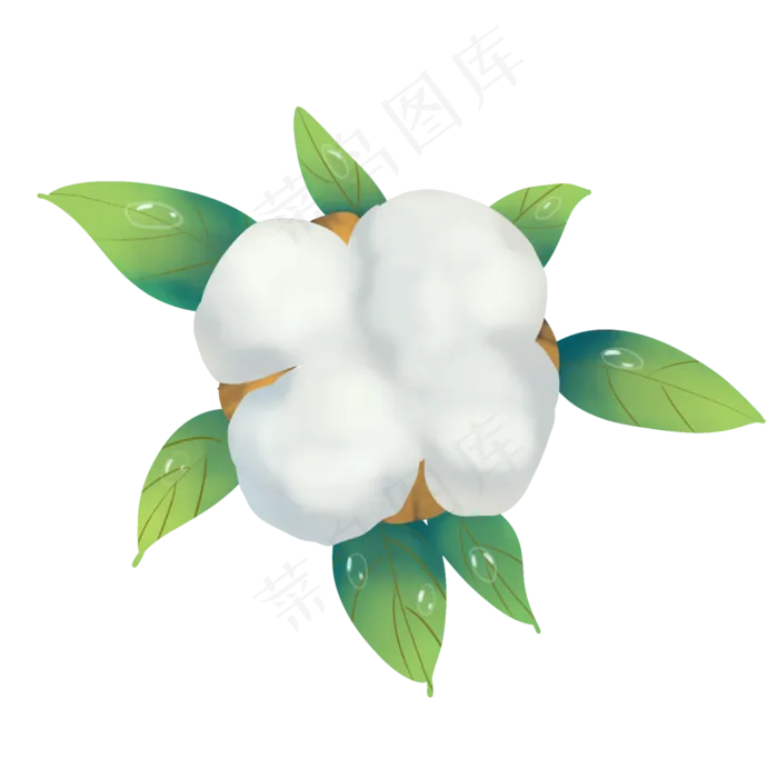 二十四节气寒露棉花(2000X2000(DPI:300))psd模版下载