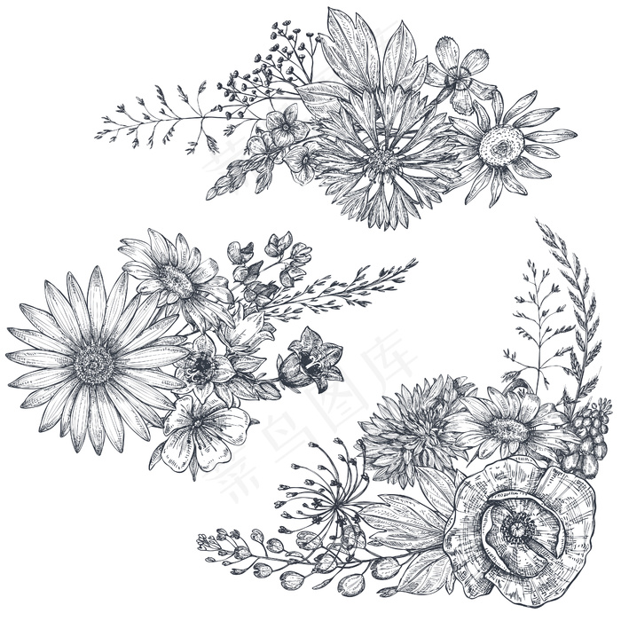 矢量花束，黑白手绘草本植物和野花，素描风格。