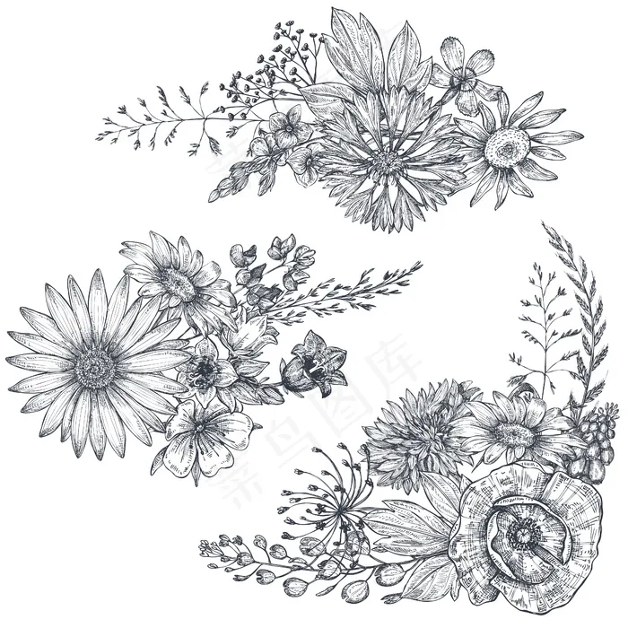 矢量花束，黑白手绘草本植物和野花，素描风格。eps,ai矢量模版下载