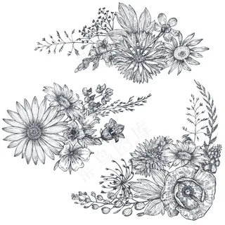 矢量花束，黑白手绘草本植物和野花，素描风格。