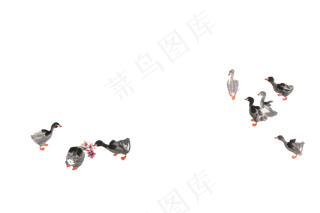 水墨中国风工笔画高清免扣素材-鸭子