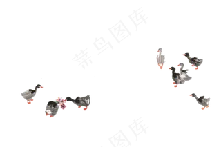 水墨中国风工笔画高清免扣素材-鸭子