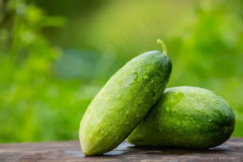 放在木桌上的黄瓜,背面有一种天然的绿色模糊的颜色。 放在木桌上的黄瓜,背面有一种天然的绿色模糊的颜色。