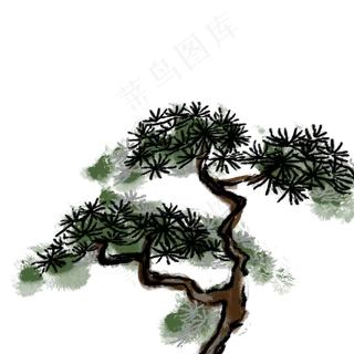 冬天松柏冬季植大寒