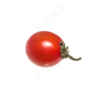 红色新鲜小番茄