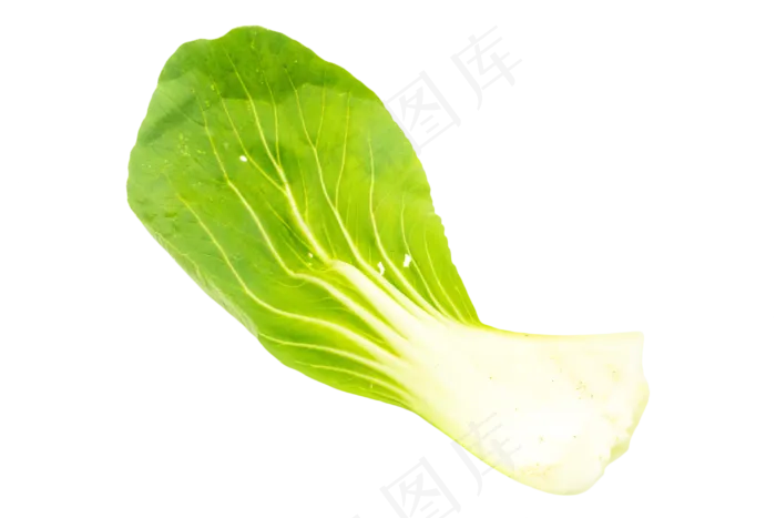 绿色油菜(3000*2000px 300 dpi )