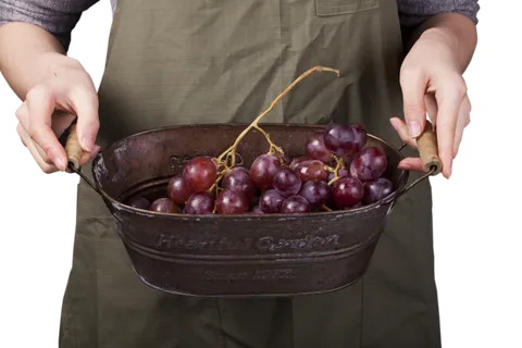 夏黑葡萄巨峰葡萄