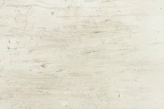 白色老林木纹理背景