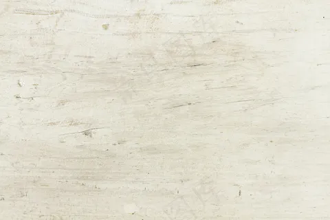 白色老林木纹理背景 白色老林木纹理背景