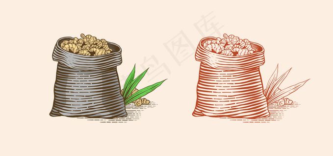 袋装生姜根，切碎根茎，新鲜植物。