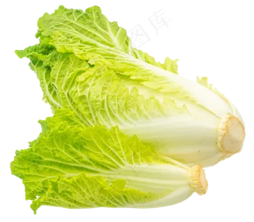 两颗蔬菜白菜
