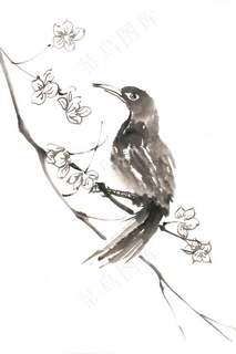 喜鹊登枝水墨画PNG免抠素材 喜鹊登枝水墨画PNG免抠素材