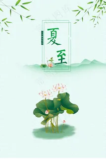 简约夏至荷花海报