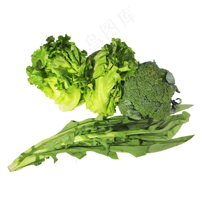 生菜西兰花油麦菜蔬菜组合