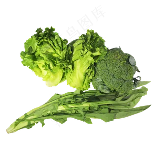 生菜西兰花油麦菜蔬菜组合 生菜西兰花油麦菜蔬菜组合