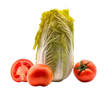 蔬菜西红柿白菜