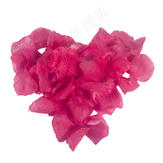 红色的玫瑰花朵