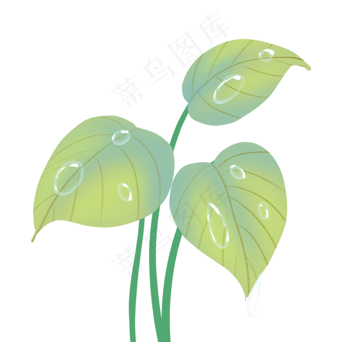 寒露绿色花草露水