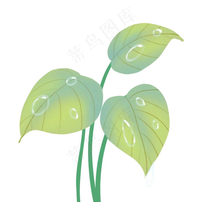 寒露绿色花草露水(2000X2000(DPI:300))psd模版下载