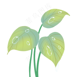 寒露绿色花草露水